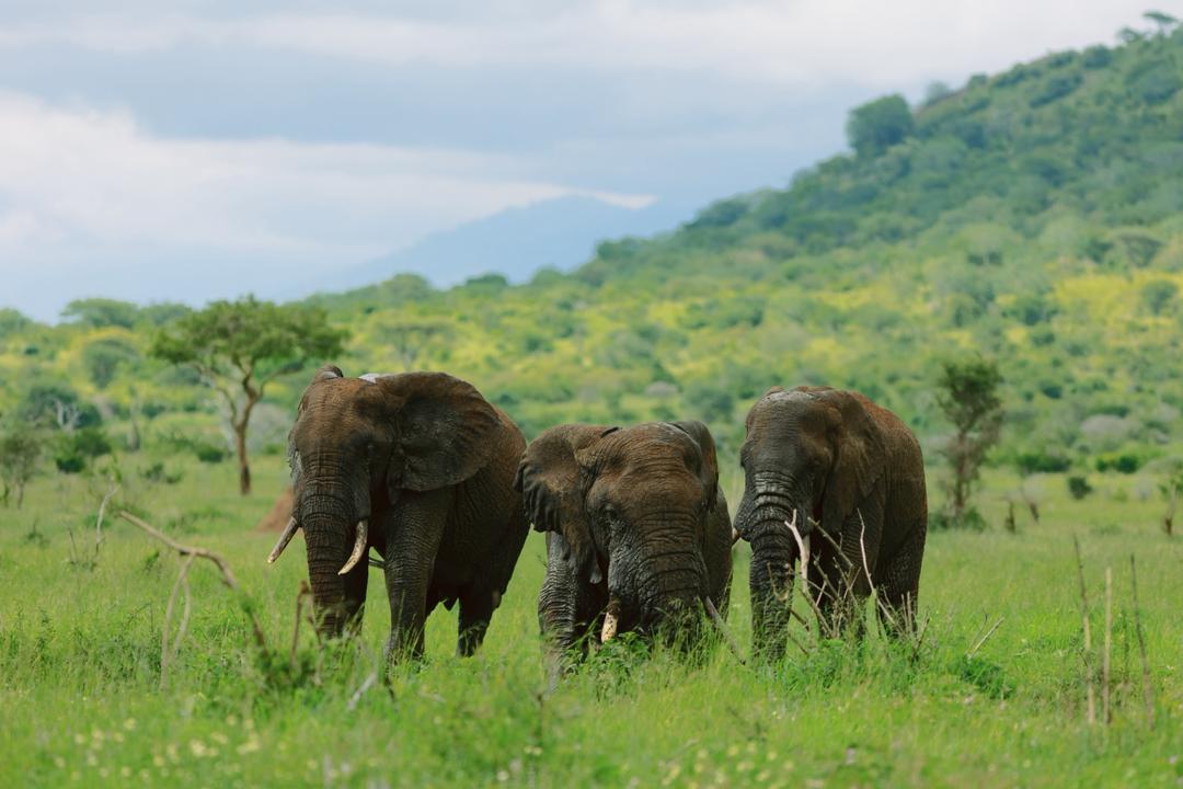 WhatsApp Image 2025-10-20 at 1.53.08 AM