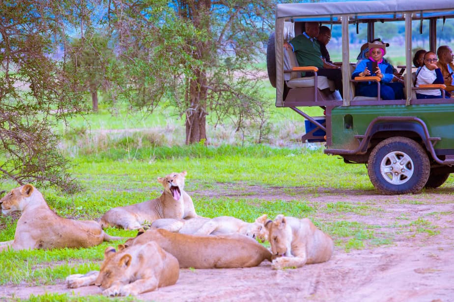 WhatsApp Image 2026-01-02 at 5.37.26 PM (1)