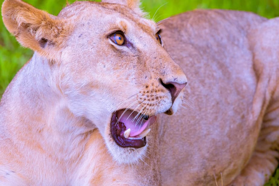 WhatsApp Image 2026-01-02 at 5.37.28 PM