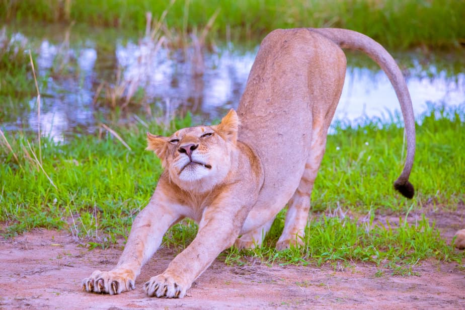 WhatsApp Image 2026-01-02 at 5.37.30 PM (1)