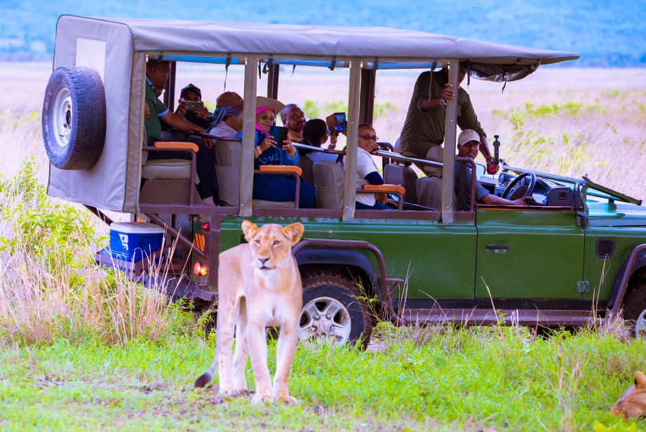 WhatsApp Image 2026-01-02 at 5.37.32 PM