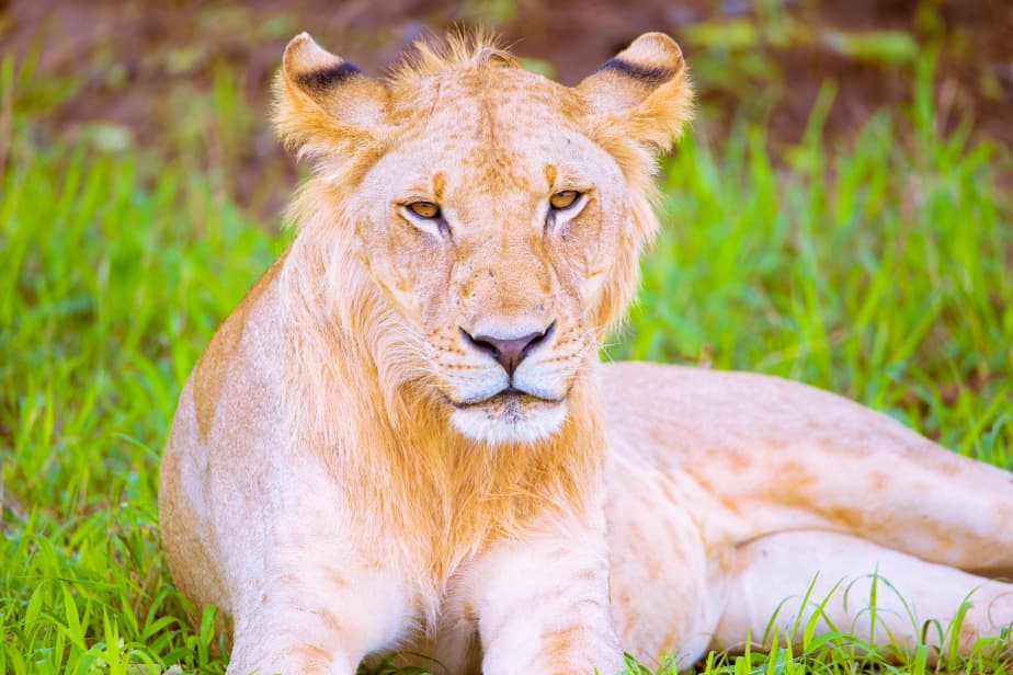 WhatsApp Image 2026-01-02 at 5.37.35 PM